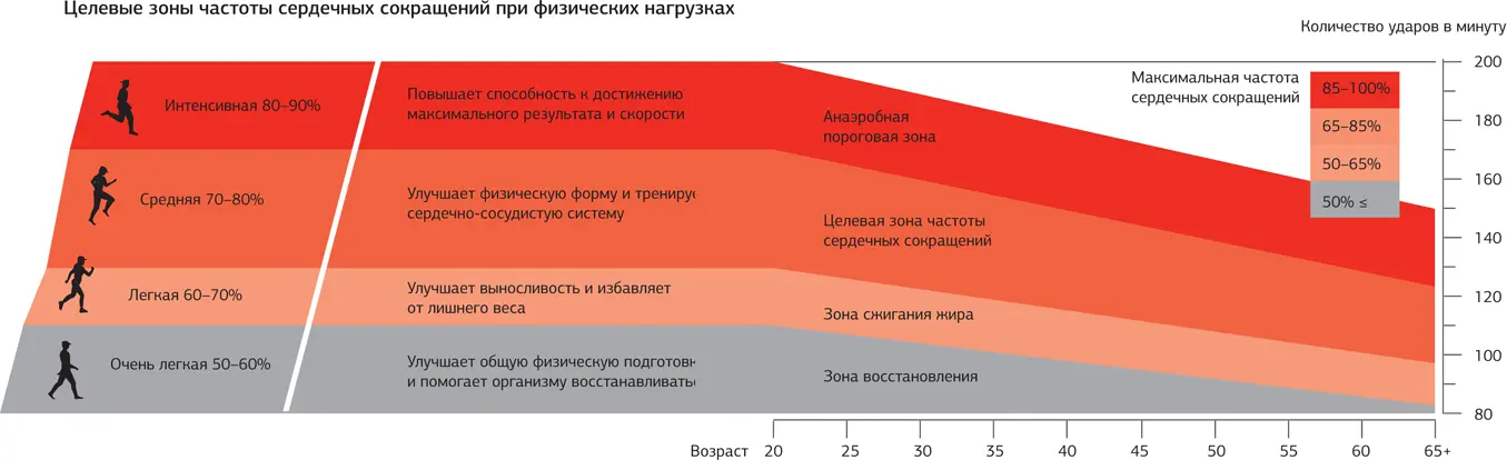 Рисунок размещен на сайте издательства - фото 20