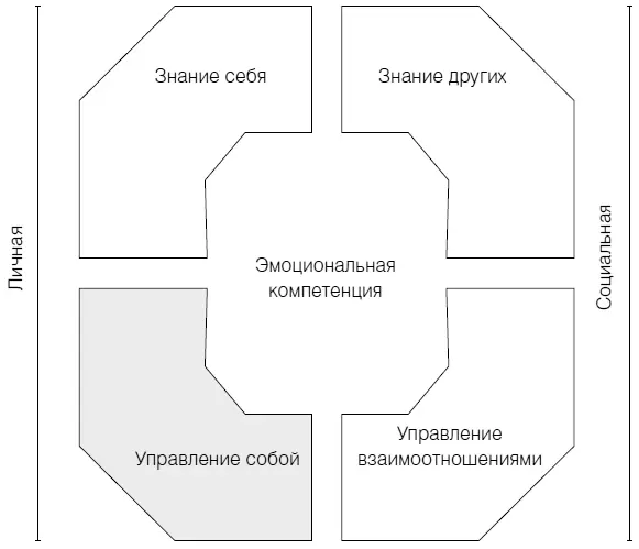 Рис 24 Эмоциональная компетенция управление собой Вы чувствуете себя - фото 47