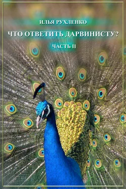 Илья Рухленко Что ответить дарвинисту? Часть II обложка книги