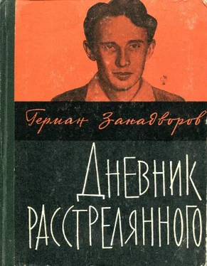 Герман Занадворов Дневник расстрелянного обложка книги