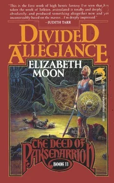 Elizabeth Moon Divided Allegiance обложка книги