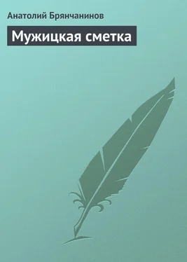 Анатолий Брянчанинов Мужицкая сметка обложка книги