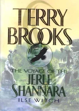 Terry Brooks Ilse Witch обложка книги