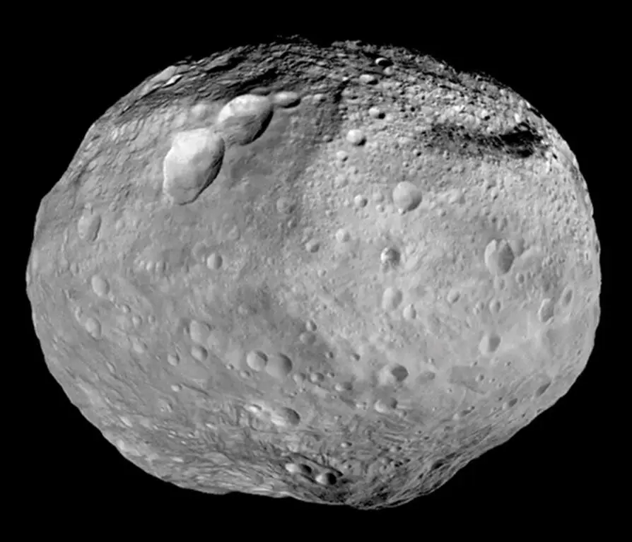 Рис Веста Флора крупнейший член семейства из нескольких десятков - фото 124