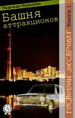 Надежда Нелидова - Книга 1. Башня аттракционов