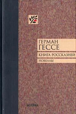 Герман Гессе Книга россказней. Новеллы обложка книги