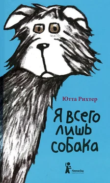 Ютта Рихтер Я всего лишь собака обложка книги