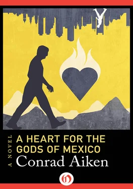 Conrad Aiken A Heart for the Gods of Mexico обложка книги