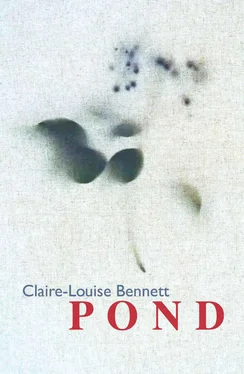 Claire-Louise Bennett Pond: Stories обложка книги