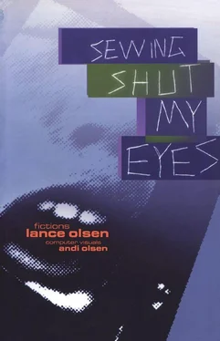 Lance Olsen Sewing Shut My Eyes обложка книги