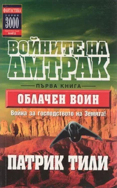 Патрик Тили Облачен воин обложка книги