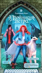 Екатерина Флат - Двойники ветра
