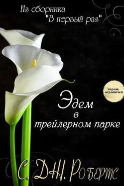 Дженнифер Робертс Эдем в трейлерном парке обложка книги