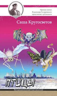 Саша Кругосветов Птицы обложка книги