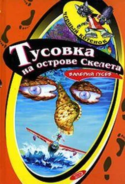 Валерий Гусев Тусовка на острове Скелета обложка книги