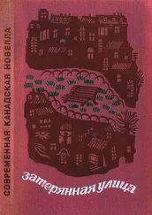 Жан Амлен - Затерянная улица