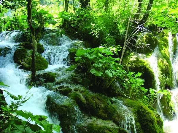 Рильский монастырь Он притаился высоко в горах Вдали от шума суетного мира - фото 11