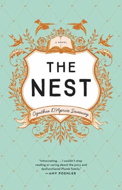 Cynthia D'Aprix Sweeney The Nest обложка книги