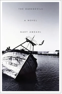 Gary Amdahl The Daredevils обложка книги