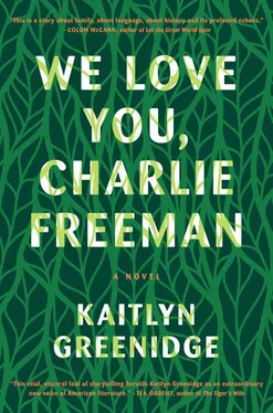 Kaitlyn Greenidge We Love You, Charlie Freeman обложка книги