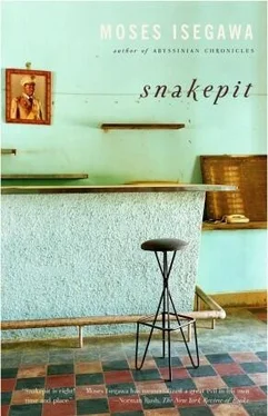 Moses Isegawa Snakepit обложка книги