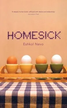 Eshkol Nevo Homesick обложка книги
