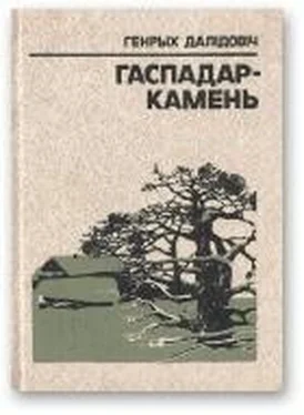 Генрых Далідовіч Гаспадар-Камень обложка книги