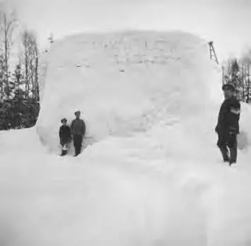 Цесаревич Алексей Николай II и боцман А Е Деревенько А Е Деревенько был - фото 61