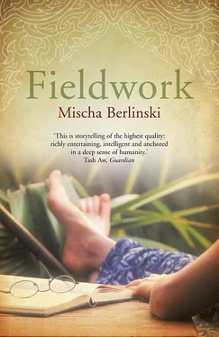 Mischa Berlinski Fieldwork обложка книги