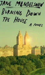 Jane Mendelsohn - Burning Down the House