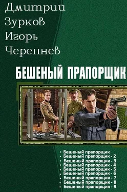Дмитрий Зурков Бешеный прапощимк части 1-9 обложка книги