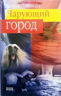 Лора Липман Чарующий город обложка книги