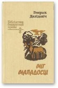 Генрых Далідовіч Міг маладосці обложка книги