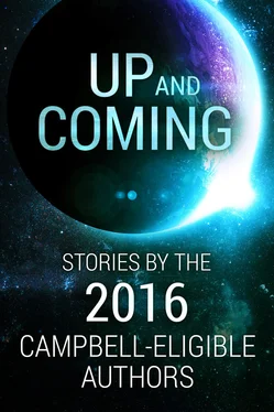 SL Huang Up and Coming: Stories by the 2016 Campbell-Eligible Authors обложка книги