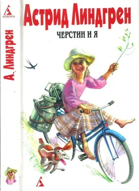 Астрид Линдгрен Собрание сочинений в 6 т. Том 7. Черстин и я обложка книги