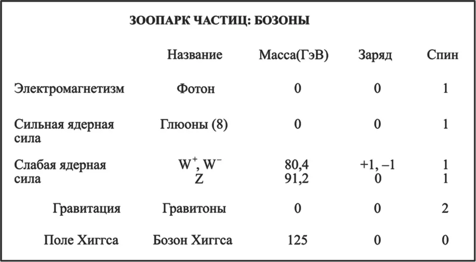 Бозоны переносчики взаимодействий Массы выражены в гигаэлектронвольтах - фото 28