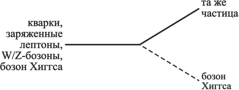 Теперь займемся бозонами входящими в диаграмму Они могут излучить другой - фото 36