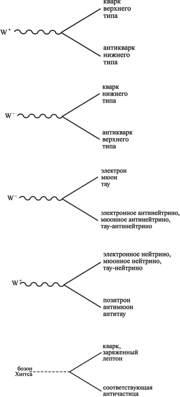 Единственная оставшаяся фундаментальная диаграмма это взаимодействие бозона - фото 38