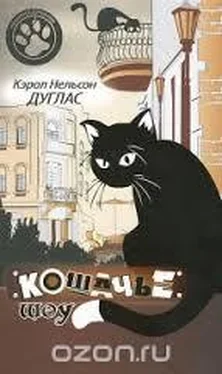 Кэрол Дуглас Кошачье шоу обложка книги