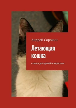 Андрей Сорокин Летающая кошка. Сказка для детей и взрослых обложка книги