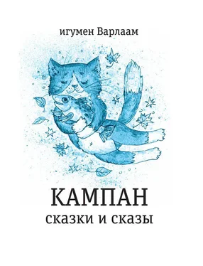 игумен Варлаам Кампан (сборник) обложка книги