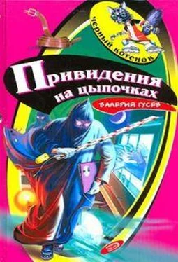 Валерий Гусев Привидения на цыпочках обложка книги