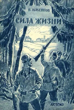 Василий Ильенков Сила жизни (рассказы) обложка книги