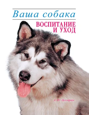 Алексей Целлариус Ваша собака. Воспитание и уход обложка книги