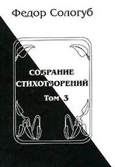 Федор Сологуб - Том 3. Восхождения. Змеиные очи