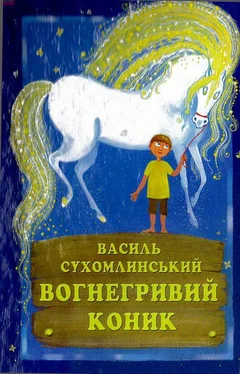 Василь Сухомлинський Вогнегривий коник обложка книги