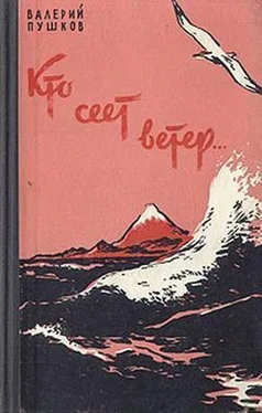 Валерий Пушков Кто сеет ветер обложка книги