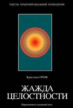 Кристина Гроф Жажда целостности. Наркомания и духовный путь обложка книги