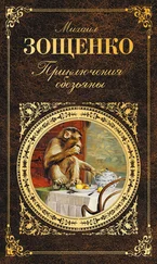 Михаил Зощенко - Приключения обезьяны (сборник)