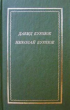 Давид Бурлюк Стихотворения обложка книги